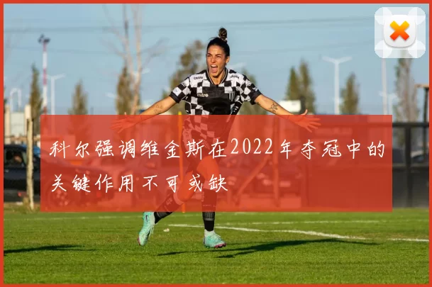 科尔强调维金斯在2022年夺冠中的关键作用不可或缺